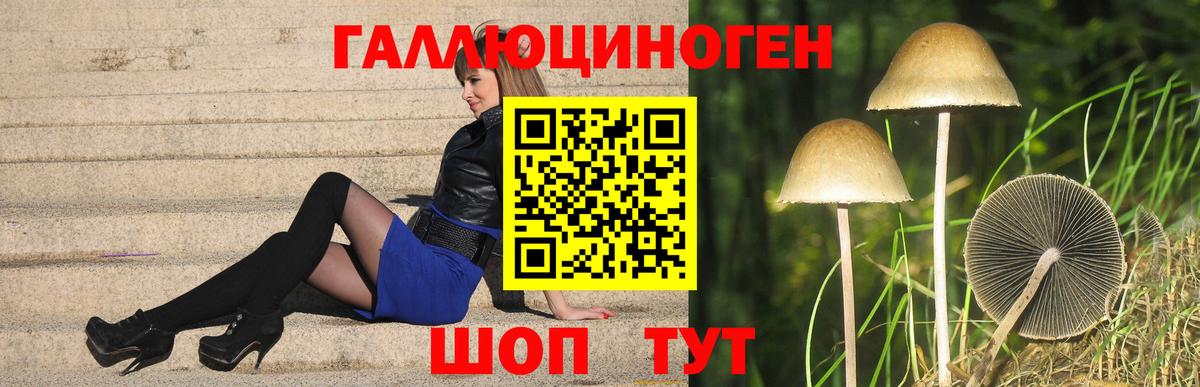 Мыски  Псилоцибиновые грибы мухоморы  Вход с VPN 